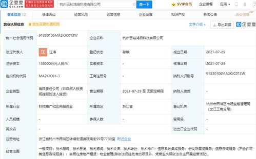 螞蟻集團成立云裕鴻啟科技，13億加碼信息系統集成服務